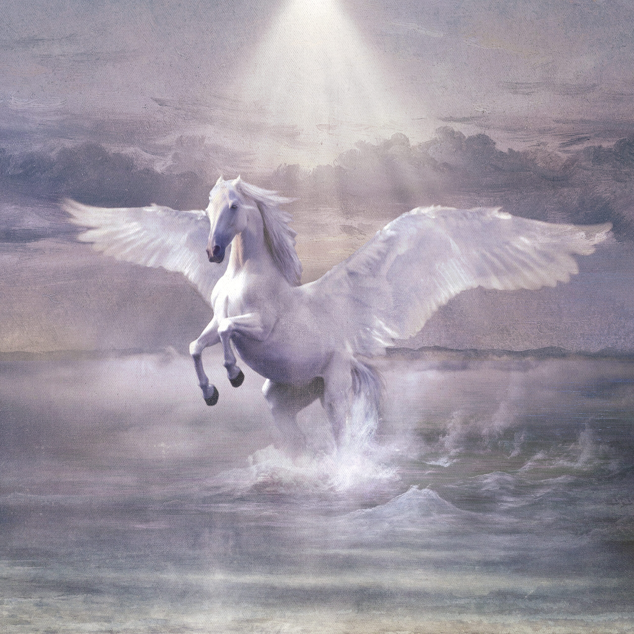 COSMO - SULLE ALI DEL CAVALLO IANCO